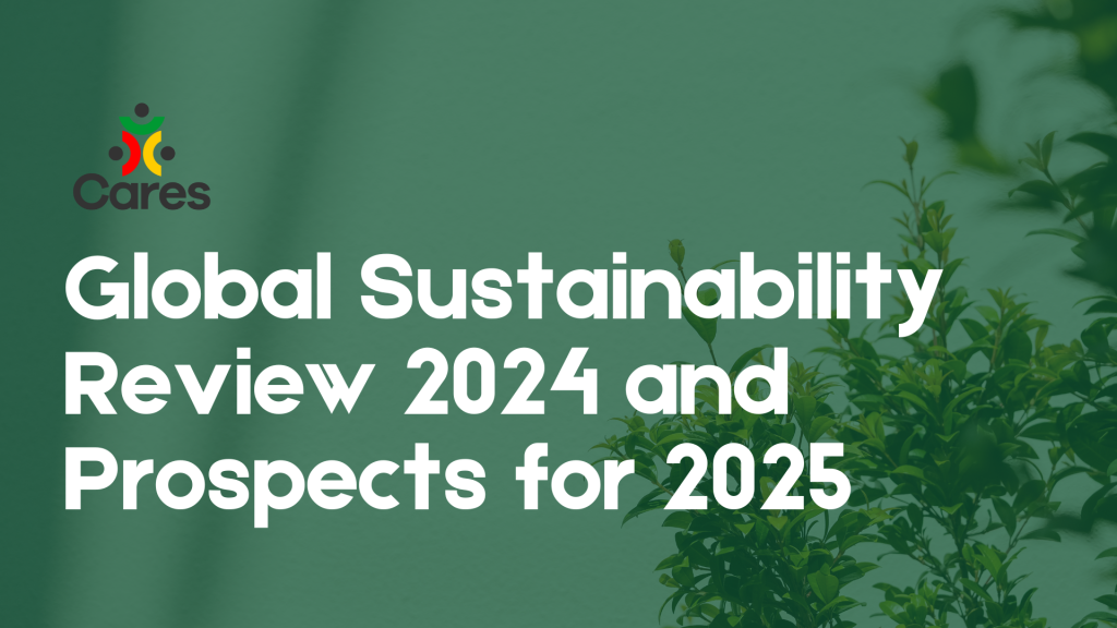 Global Sustainability Review 2024 and Prospects for 2025